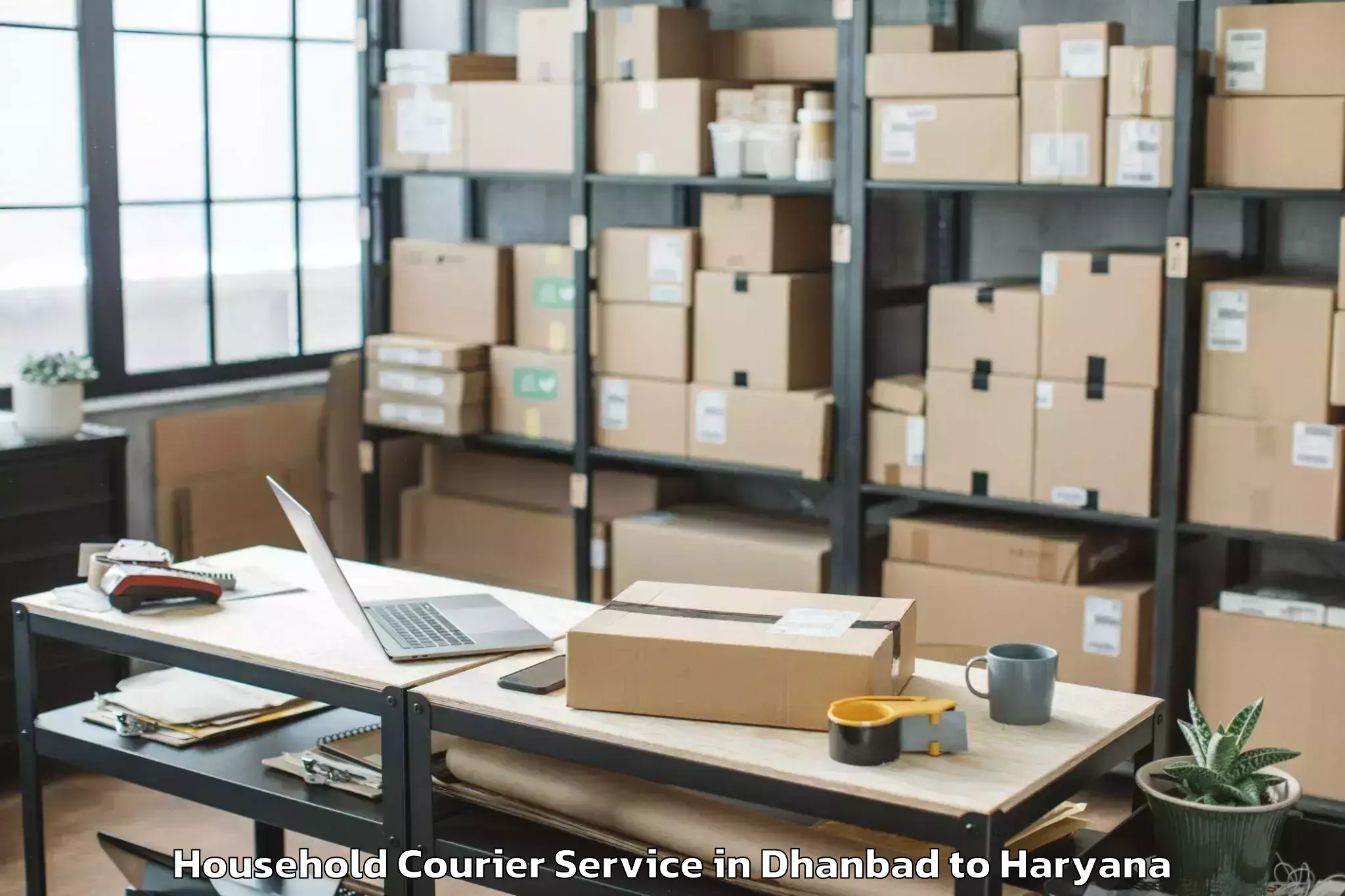 Reliable Dhanbad to Gold Souk Mall Gurgaon Household Courier